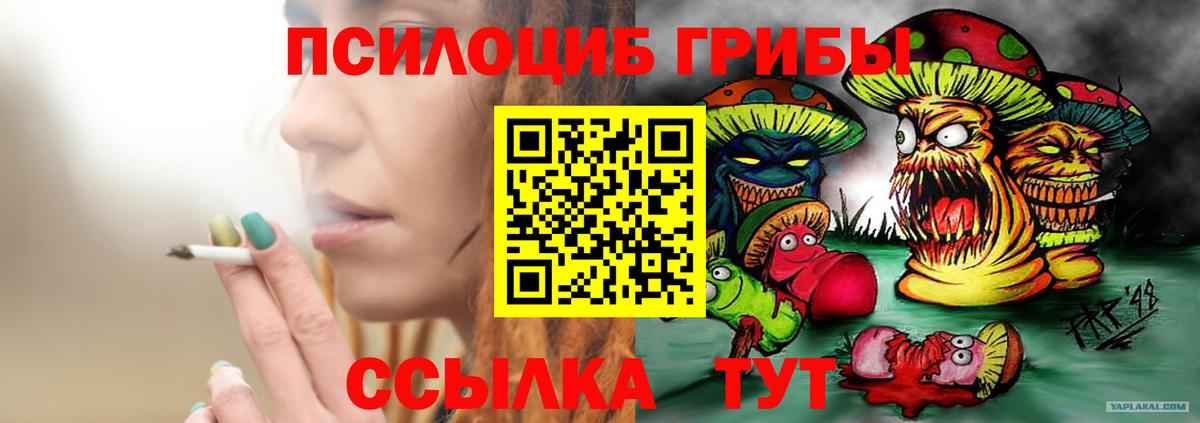 Псилоцибиновые грибы мухоморы  Псилоцибиновые грибы Psilocybine cubensis  Донецк  Вход с VPN 